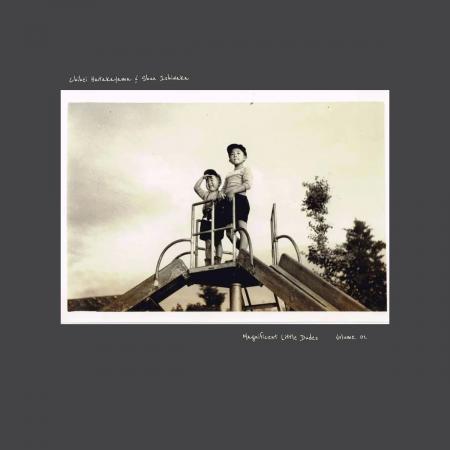 Виниловая пластинка Hatakeyama, Chihei; Ishiwaka, Shun - Magnificent Little Dudes (Black Vinyl LP)