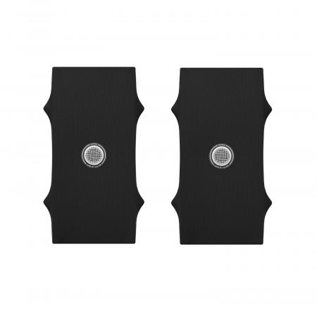 Полочная акустика Gold Note Diana II Black (Silver tweeter)