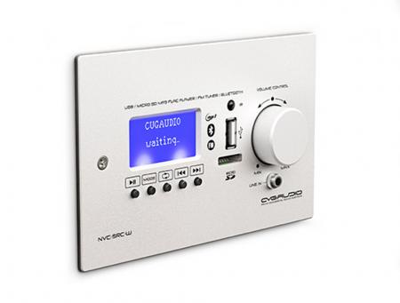 MP3/BLUETOOTH/FM модуль с регулятором громкости CVGaudio NVC-SRC-W