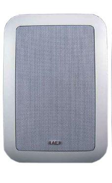 Акустическая система Acoustic Energy Aegis in Wall 155 Ci