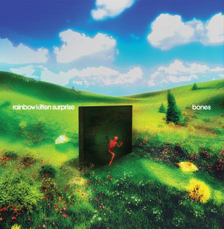 Виниловая пластинка Rainbow Kitten Surprise - Bones (Black Vinyl LP)