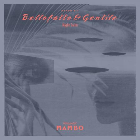 Виниловая пластинка Bellofatto & Gentile - Night Swim (Black Vinyl LP)