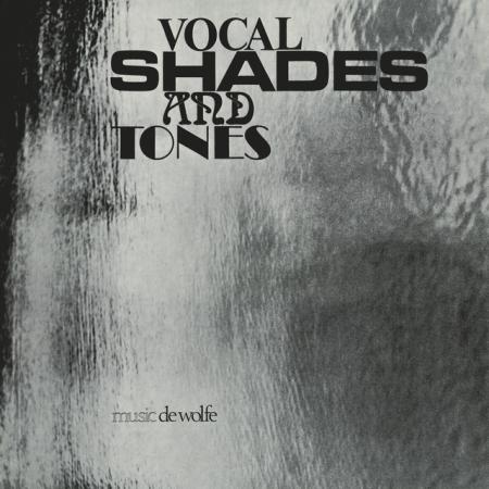 Виниловая пластинка Barbara Moore - Vocal Shades And Tones (Black Vinyl LP)