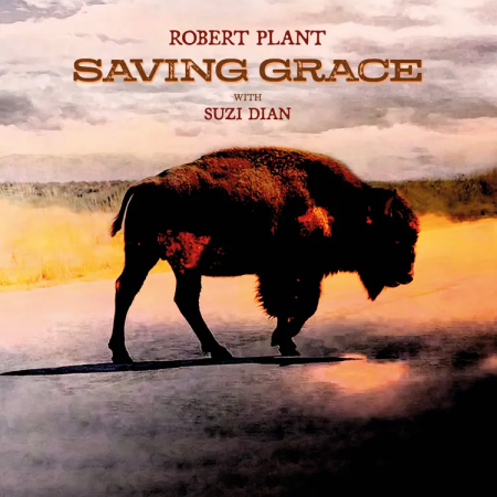 Виниловая пластинка Robert Plant - Saving Grace (Black Vinyl LP)
