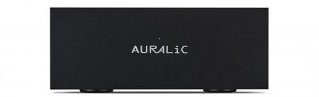 Блок питания AURALiC S1 Purer-Power