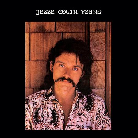 Виниловая пластинка Jesse Colin Young - Song For Juli (Analogue) (Black Vinyl LP)