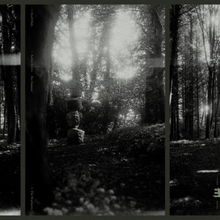 Виниловая пластинка Eyolf Dale - The Wayfarers (Coloured Vinyl LP)