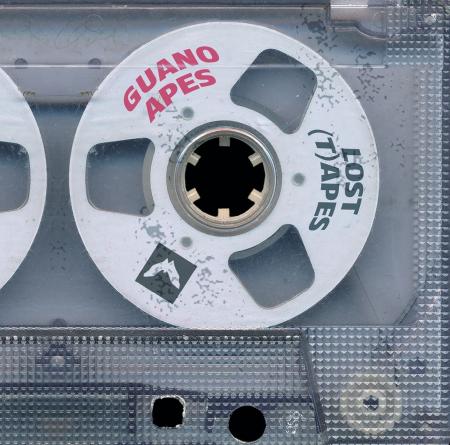 Виниловая пластинка Guano Apes - The Lost (T) Apes (Black Vinyl LP)