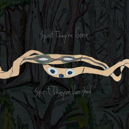 Виниловая пластинка Animal Collective -  Spirit They're Gone, Spirit They've Vanished (2023 Remaster