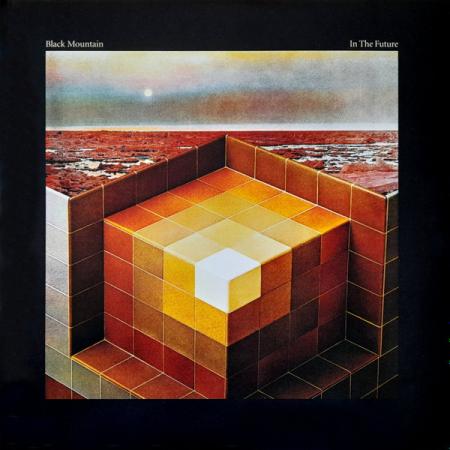 Виниловая пластинка Black Mountain - In The Future (Black Vinyl 2LP)