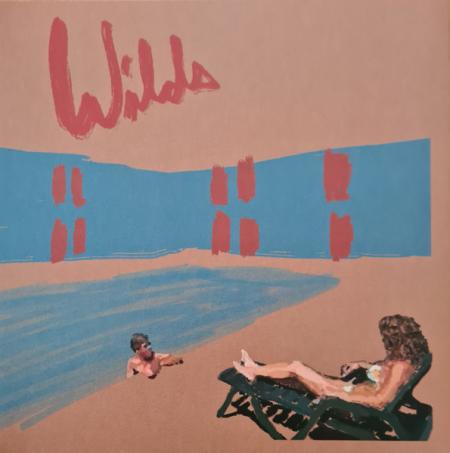 Виниловая пластинка Andy Shauf - Wilds (Black Vinyl LP)
