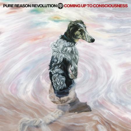 Виниловая пластинка Pure Reason Revolution - Coming Up To Consciousness (Blue Vinyl LP)