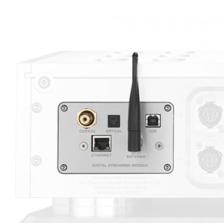 Опциональный стриминговый модуль Dan D’Agostino Momentum С2 Preamplifier Digital Streaming Module