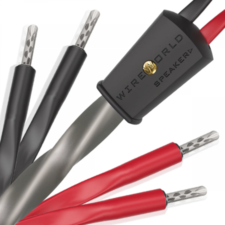 Акустический кабель Wire World Equinox 10 Biwire Speaker Cable Pair (BAN-BAN) (EQB2.5MB-10) 2.5m