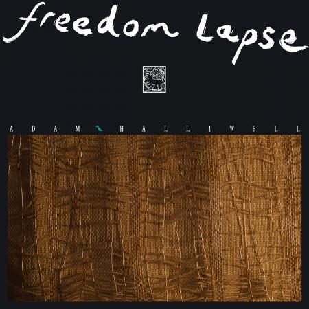 Виниловая пластинка Adam Halliwell - Freedom Lapse (Black Vinyl LP)