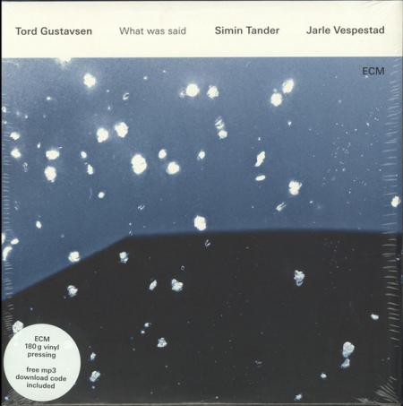 Виниловая пластинка Tord Gustavsen TORD GUSTAVSEN: WHAT WAS SAID