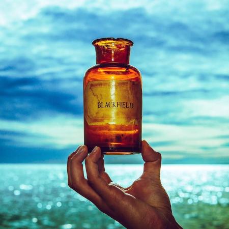 Виниловая пластинка Blackfield - V (Black Vinyl LP)