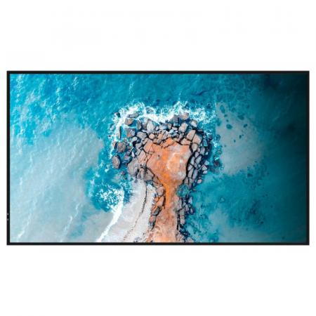 Профессиональный дисплей Hisense 55DM66D