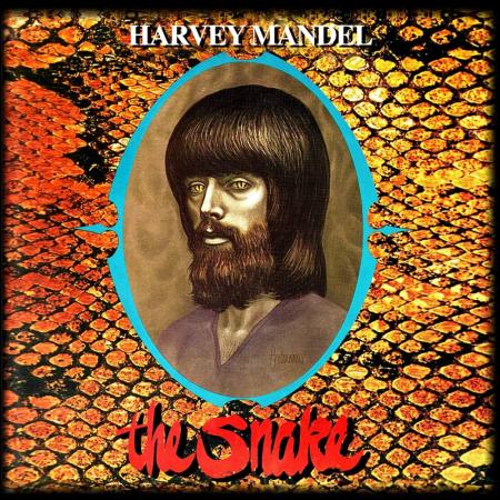 Виниловая пластинка Harvey Mandel - The Snake (Turquoise Vinyl LP)