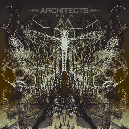 Виниловая пластинка Ruin - Architects (180 Gram Black Vinyl LP)