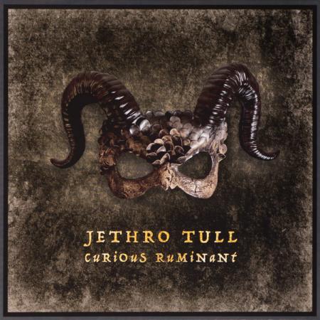 Виниловая пластинка Jethro Tull - Curious Ruminant (Black Vinyl LP)