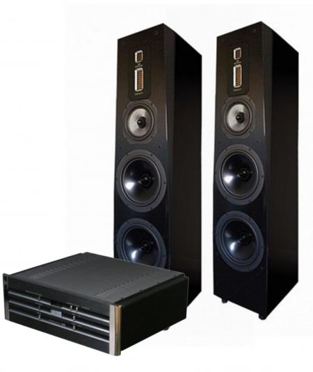 Стереокомплект Coda Csib + Legacy Audio Signature SE Black Oak