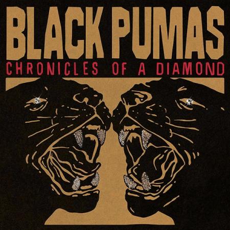 Виниловая пластинка Black Pumas - Chronicles Of A Diamond (Clear Vinyl LP)