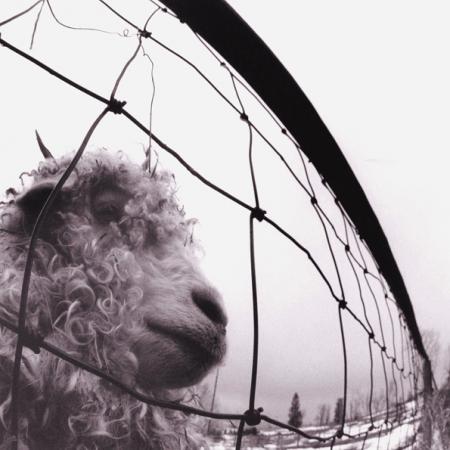 Виниловая пластинка Pearl Jam - Vs. (coloured) (Сoloured Vinyl 2LP)