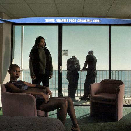 Виниловая пластинка Skunk Anansie - Post Orgasmic Chill (Turquoise Vinyl LP)