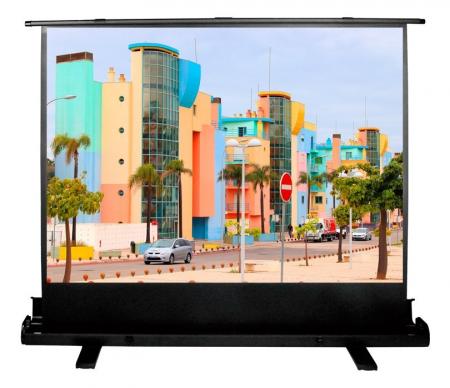 Экран Cactus FloorExpert CS-PSFLE-160x120