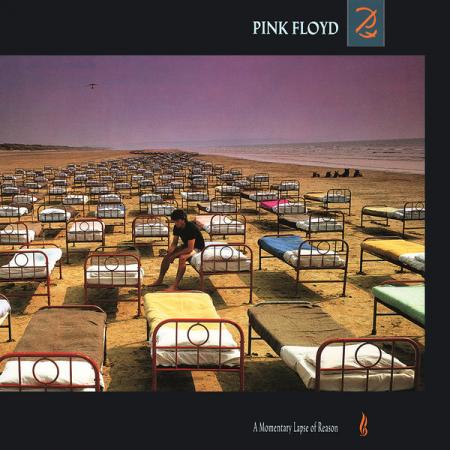 Виниловая пластинка Pink Floyd - A Momentary Lapse Of Reason (Black Vinyl LP)