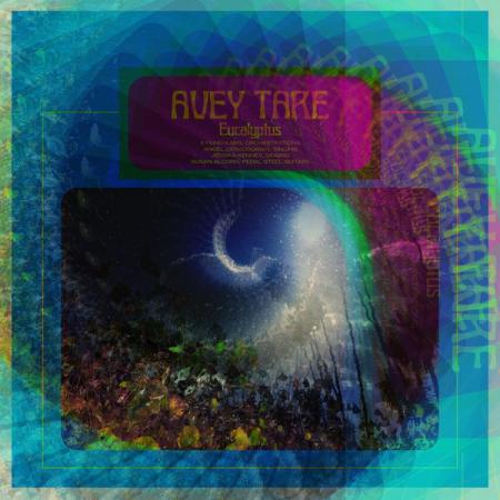 Виниловая пластинка Avey Tare - Eucalyptus (Black Vinyl 2LP)