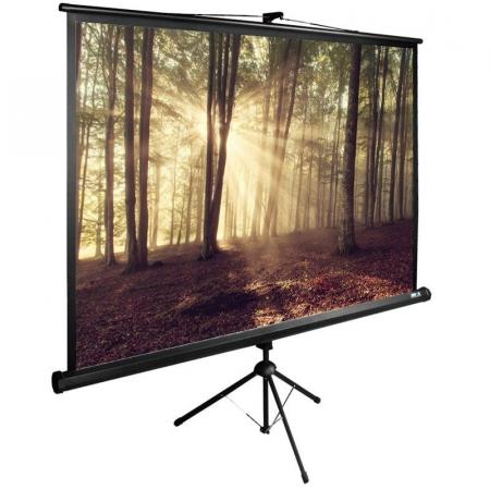 Экран Cactus TriExpert CS-PSTE-180x135-BK
