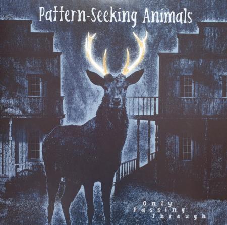 Виниловая пластинка Pattern-Seeking Animals - Only Passing Through (180 Gram Black Vinyl 2LP+CD)