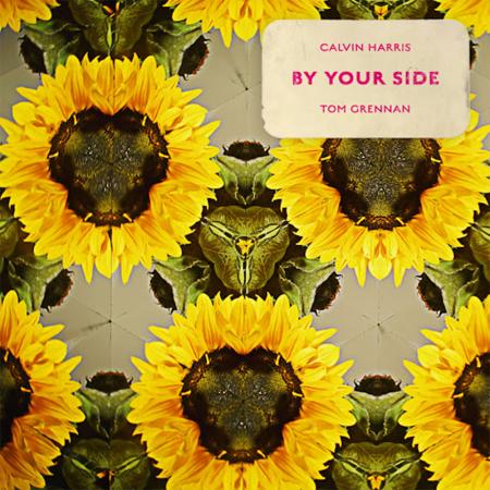 Виниловая пластинка Calvin Harris, Tom Grennan - By Your Side (Limited 180 Gram Picture Eco Black Vinyl)