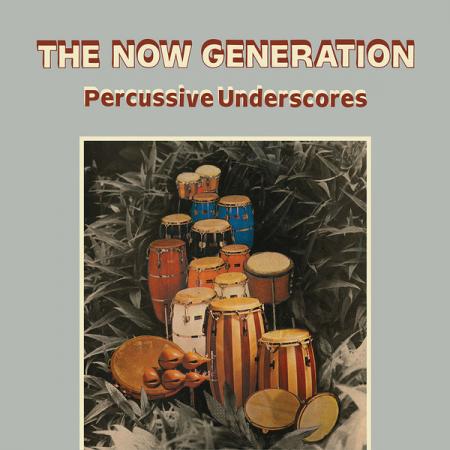 Виниловая пластинка Peter Ludemann, Troja, Pit - The Now Generation: Percussive Underscores (Black Vinyl LP)