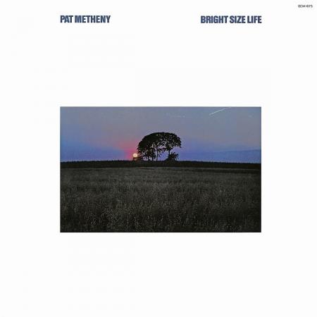 Виниловая пластинка Pat Metheny - Bright Size Life (Analogue) (Black Vinyl LP)