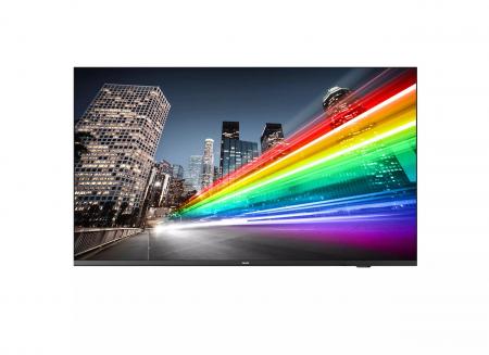 Коммерческий телевизор Philips 55BFL2214/12