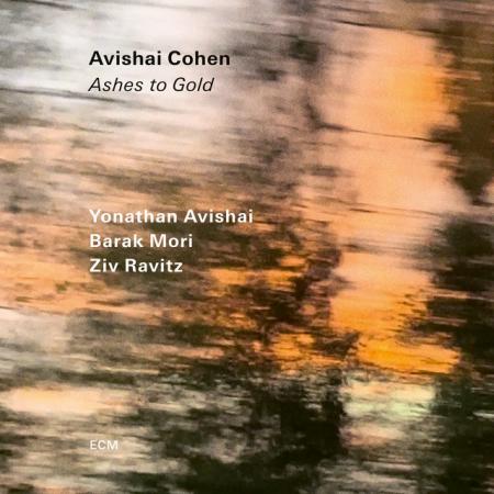 Виниловая пластинка Avishai Cohen - Ashes To Gold (Black Vinyl LP)