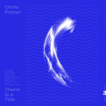 Виниловая пластинка Chris Potter - There Is A Tide (Black Vinyl LP)