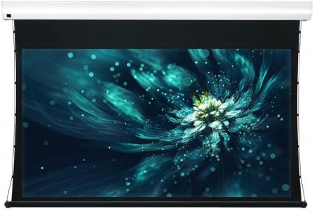 Экран Viewscreen Premium 16:10 189" 407*254 White Casing