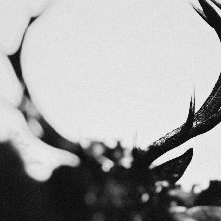 Виниловая пластинка Ihsahn -  Ihsahn (Black Vinyl 2LP)
