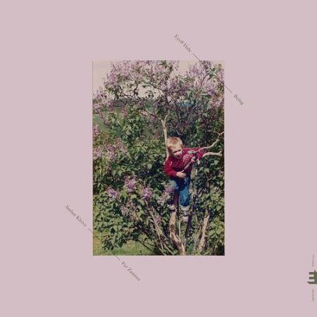 Виниловая пластинка Eyolf Dale - Being (Coloured Vinyl LP)