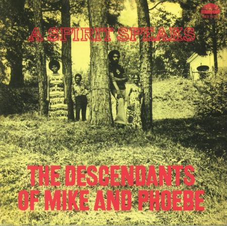 Виниловая пластинка Descendants Of Mike & Phoebe, The - A Spirit Speaks (Analogue) (Black Vinyl LP)