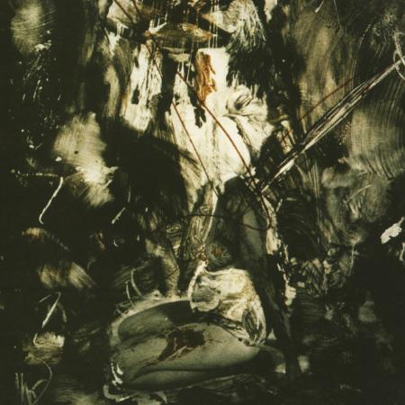 Виниловая пластинка Fields Of The Nephilim -  Elizium (Brick Red Vinyl 2LP)