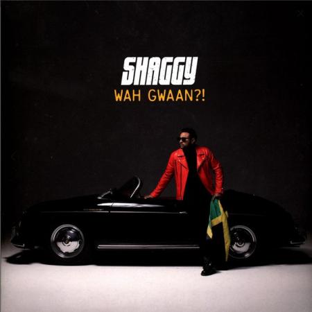 Виниловая пластинка Shaggy, Wah Gwaan?!