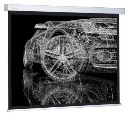 Экран Cactus Wallscreen CS-PSW-206x274