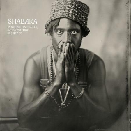 Виниловая пластинка Shabaka - Perceive Its Beauty, Acknowledge Its Grace (Black Vinyl LP)