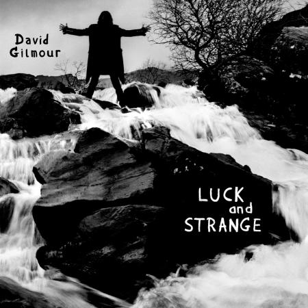Виниловая пластинка David Gilmour - Luck And Strange (140 Gram Black Vinyl LP)