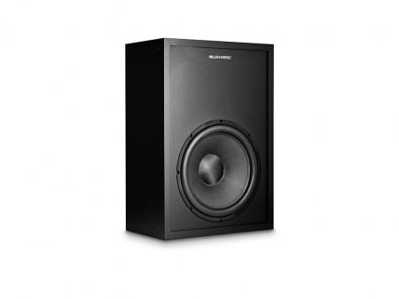 Сабвуфер MK Sound C15S (в комплекте VA500 Blue Edition) Vinyl